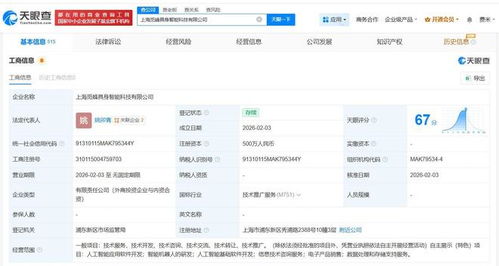 智元機(jī)器人領(lǐng)銜，覓蜂具身智能科技公司落戶上海 500萬(wàn)注冊(cè)資本撬動(dòng)AI基礎(chǔ)軟件開(kāi)發(fā)新局
